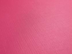 Set de table papier plaza Framboise x500