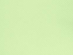 Serviette voie sèche gala - Menthe