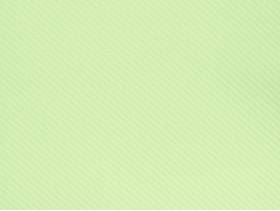 Serviette voie sèche gala - Menthe