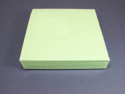 Serviette voie sèche gala - Menthe