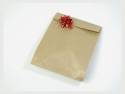 Pochette kraft brun petit format x250 - Brun