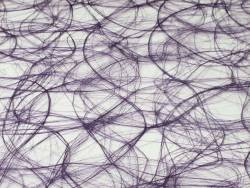 Chemin de table Sizoweb - Prune 25m