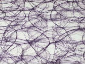 Chemin de table Sizoweb - Prune 25m