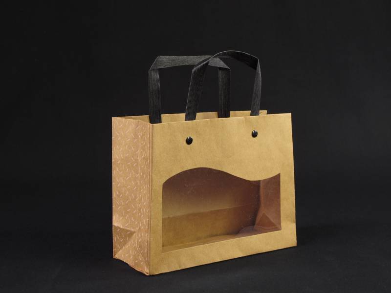 SAC K P PLATE FENETRE 20*7,5*15cm /10 DELICATESSEN