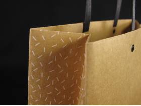 SAC K P PLATE FENETRE 20*7,5*15cm /10 DELICATESSEN