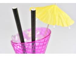 PAILLE PAPIER Ø8mm*21cm /100 NOIR