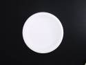 Assiette carton ronde extra fort biodégradable Ø19cm x100 blanc