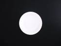 Assiette carton ronde biodégradable Ø15cm x100 blanc